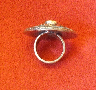 Anillo an53