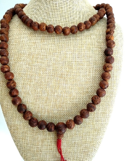 Mala semilla Bodi India