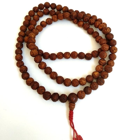 Mala semilla Bodi India
