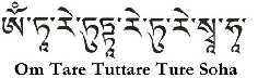 Mantra de Tara verde (20 unidades) 2