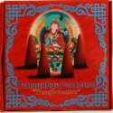 Incienso tibetano en conos "Padmasambhava"- Transformación