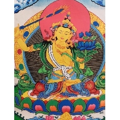 Manjushree mediana