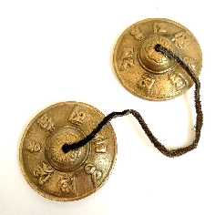 crotalo-tyngsia-bronce