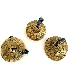 crotalo-tyngsia-bronce 2