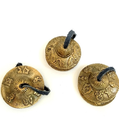 crotalo-tyngsia-bronce