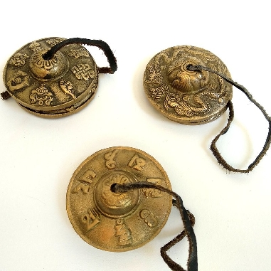 crotalo-tyngsia-bronce