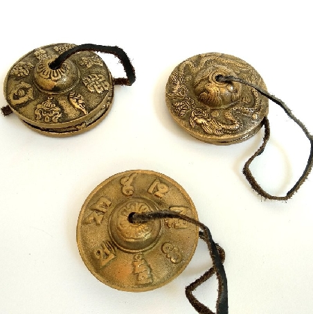 crotalo-tyngsia-bronce