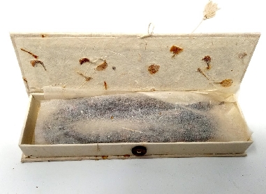 Caja de Lokta solarizada