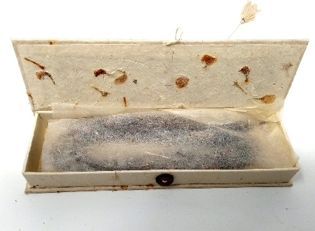 Caja de Lokta solarizada