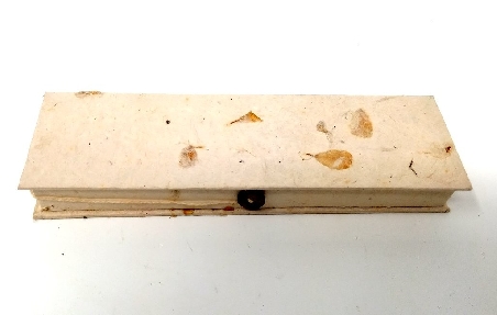 Caja de Lokta solarizada