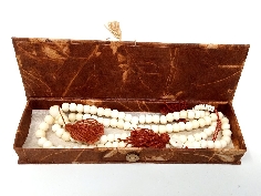 Caja de Lokta solarizada