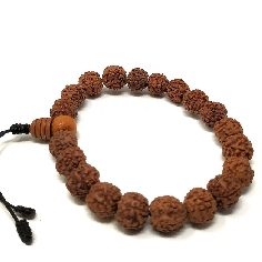 Pulsera de Rudraksa 2
