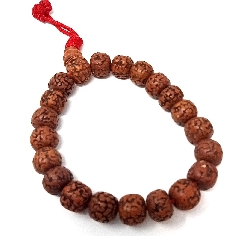 Pulsera rudraksa pulida fina