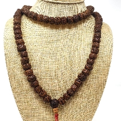 Japamala de Rudraksa pulida gruesa