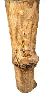 Buda en tronco de madera 40 cms. 2