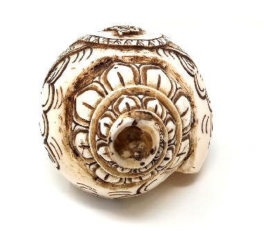 Caracola tallada "Tara blanca"