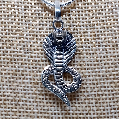 Colgante de plata "Cobra"