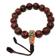 Pulsera de semilla de  Bodi con pedrería