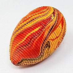 Maraca huevo 2