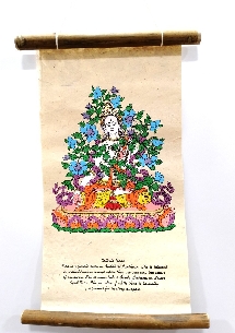 Lokta "Tara Blanca"