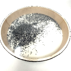 Pandero oceánico transparente 50 cms.