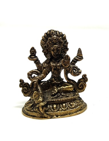 Lakshmi 4 cms.
