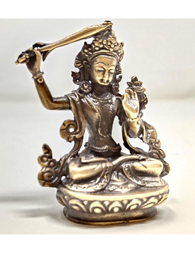 Manjushree 8 cms.