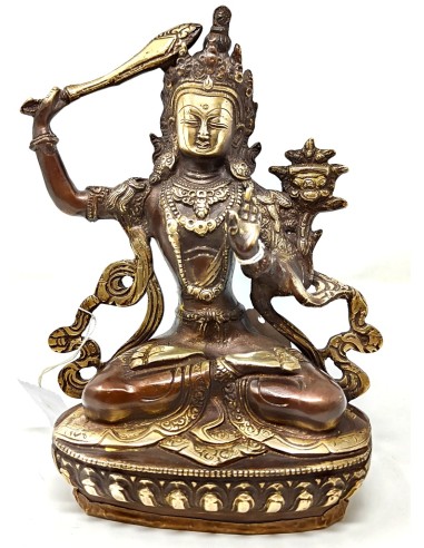 Manjushree bronce 21 cm
