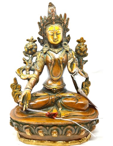 Tara Blanca 22 cms.