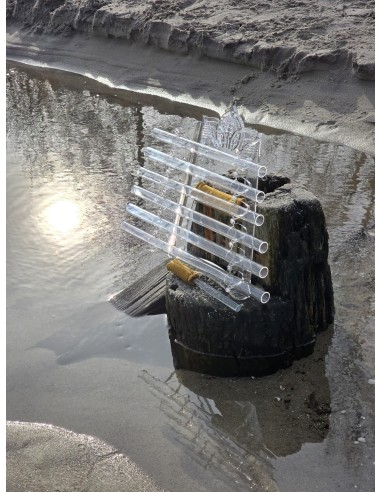 Arpa ligera de cuarzo "Arcana"