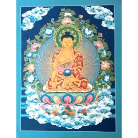 Shakyamuni calidad 70 x 55 cms. tk434
