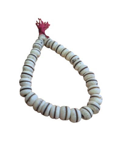 Pulsera de hueso blanco natural con división.