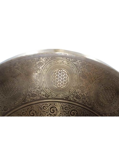 Gong Tam Tam 50 cm. "Mandala flor de la vida II" + funda
