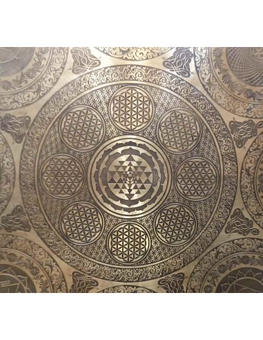 Gong Tam Tam 40 cm. Flor de la vida + funda