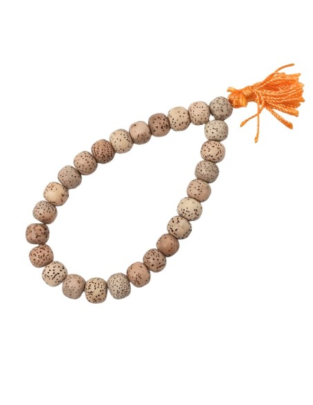 Pulsera elástica de semilla de flor de loto 8 mm
