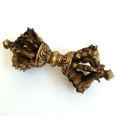 Dorje rizado pequeño