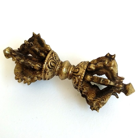 Dorje rizado pequeño