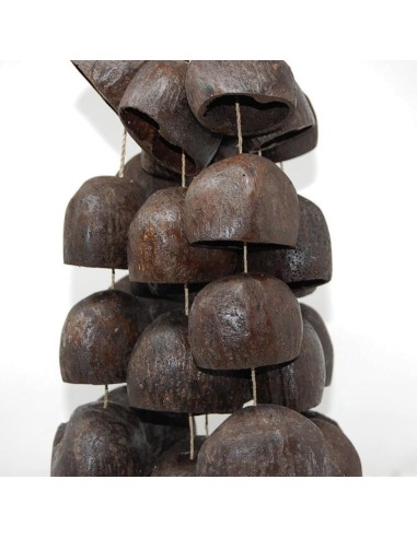 Maraca chamánica de semillas grandes
