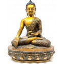 Buda Shakyamuni 34 cms.