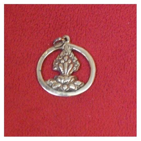 Colgante dharma metal