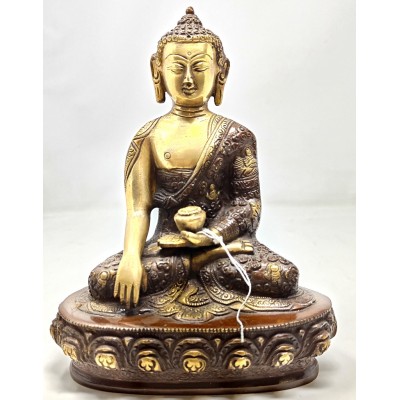 Shakyamuni bronce 24 cms.