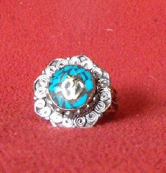 Anillo an31